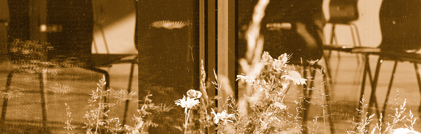 Stolar bakom glasvägg med blommor framför.