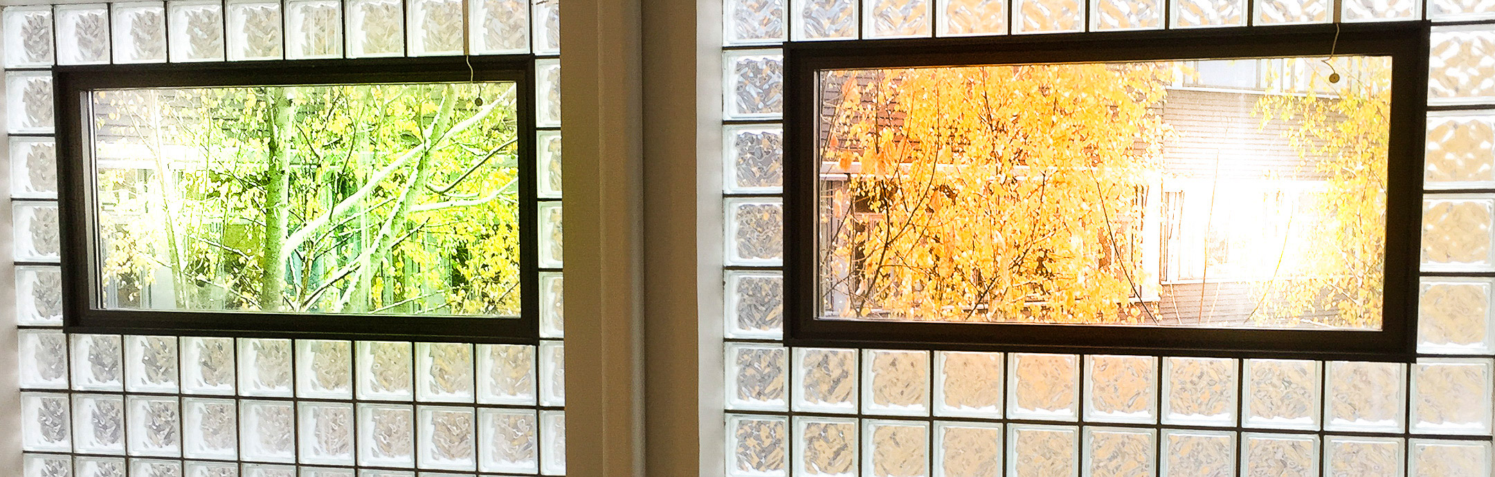 Två fönster i glasvägg med träd utanför i olikafärger.