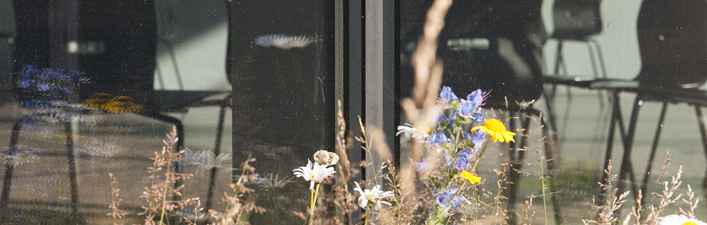 Blommor i förgrunden och stolar som speglar sig i glasvägg.